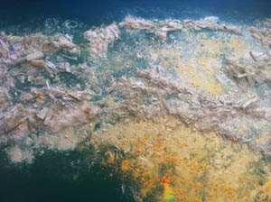 closeup of water I painting showing details with crystals